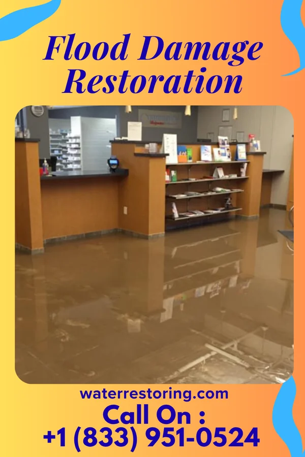 Flood Damage Restoration in Currie, MN