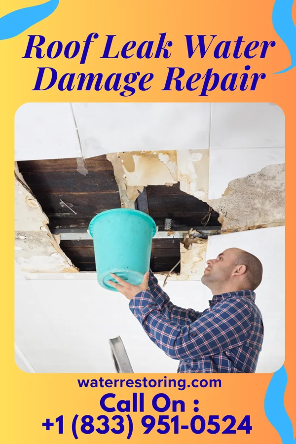 Roof Leak Water Damage Repair in Currie, MN